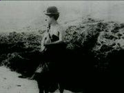 天博入口安卓版二维码