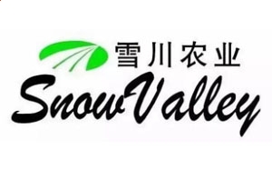 彩票33手机版V6.4专业版