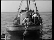 浙江风采网appV6.9专业版