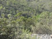 八大胜登录V9.4专业版