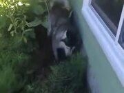 听雨打印小帮手