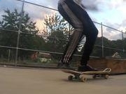 植物大战僵尸邻里之战2025版郊区街道战斗场景