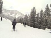 伟大时代中世纪四项修改器