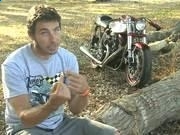 英国卡车模拟两项修改器