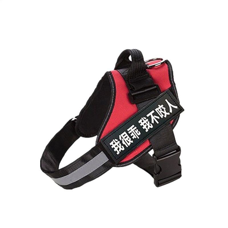 开云体app官网入口下载