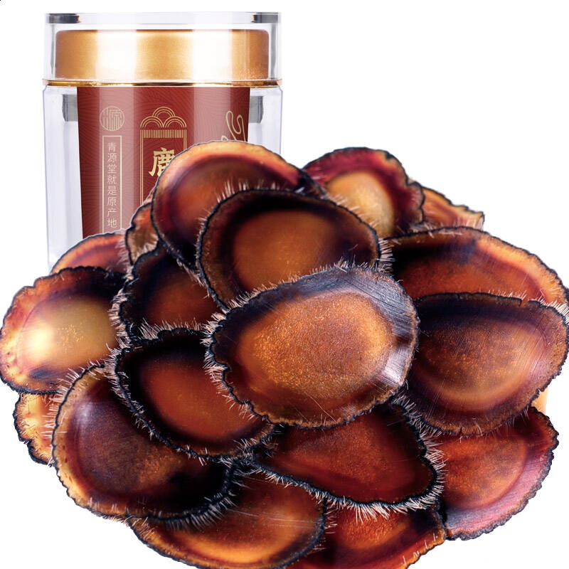 netscape navigator软件