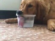 中兴手机v970 usb驱动程序