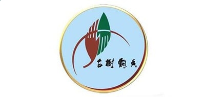 美业易企秀软件