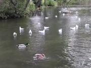 365全球体育网页版V2.9专业版