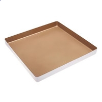 Fast Mailer Pro(邮件群发和整理工具)