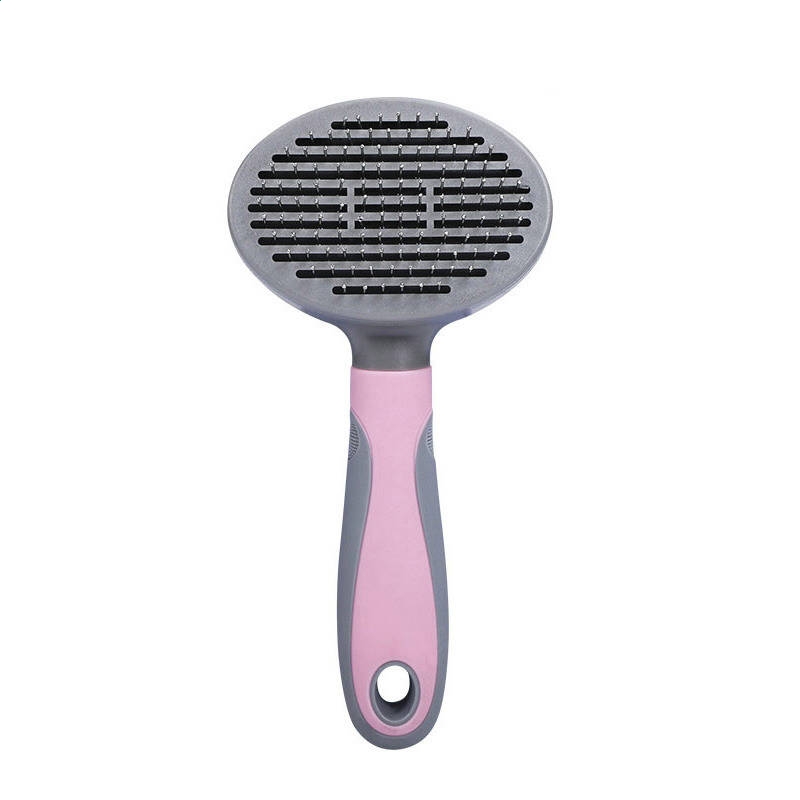 避难所v1.1四项修改器