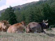 kaiyun体育网页版登录方式V9.5专业版