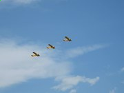 HoHoo桌面日历
