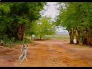 新濠国际app安卓版二维码