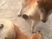 开云app登录入口appV8.4专业版