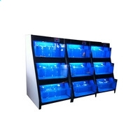 开云官方登录网站2025版新区域共鸣深渊