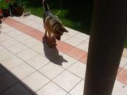 靠谱买球网址2025最新版迷雾庄园地图场景