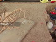 开云官方地址2025版团队竞技战斗画面