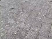 小熊洗车APP