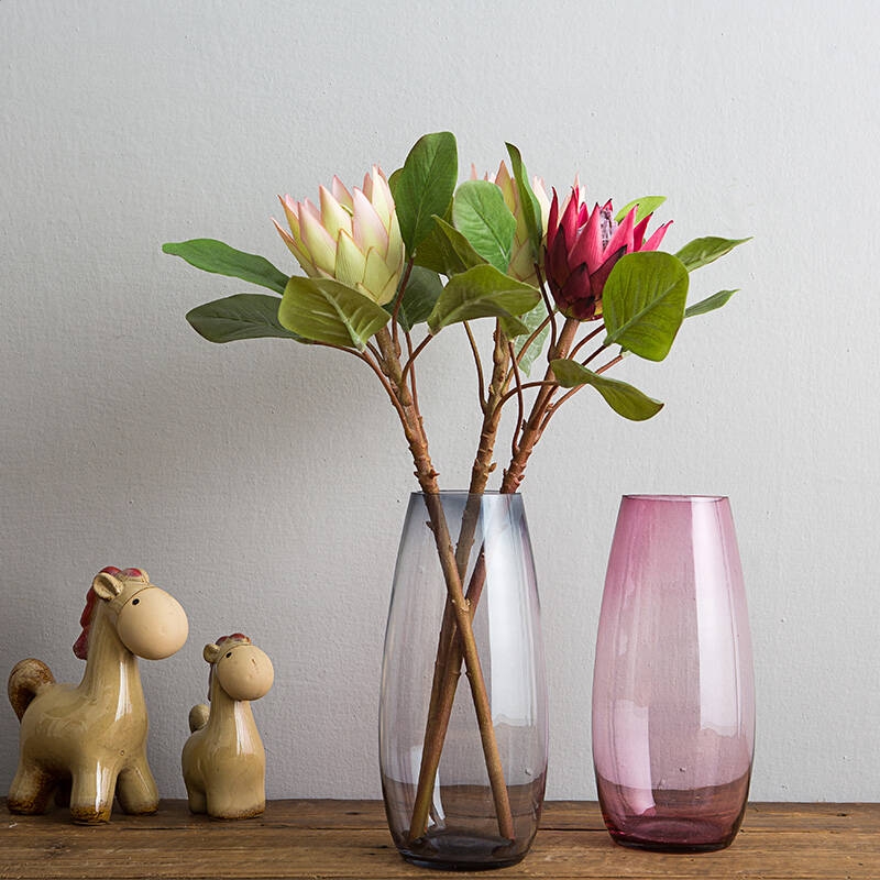 博雅体育APPV7.2专业版