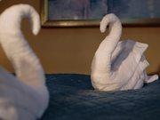 河南汽车维修平台APP