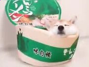 eman安卓版