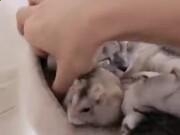 圣魂觉醒官方唯一正版手游