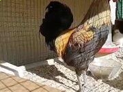 开云kaiyun官方网站下载手机版V6.4专业版