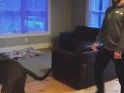 开云kaiyun最新版本下载V6.4专业版