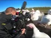 皇冠娱乐网站V7.6专业版