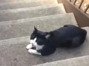 欢乐狼人王游戏