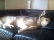 十大正规买足球网站官网V2.8专业版