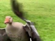 kaiyun体育app官网下载安装所需权限V3.6专业版