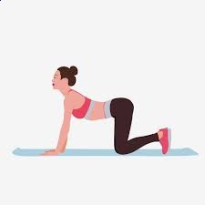 pg6688app安卓版二维码