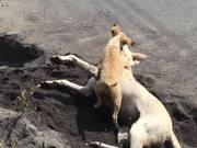 开云网页版入口手机版安卓版二维码