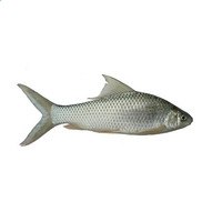 kaiyun开云app安卓版二维码