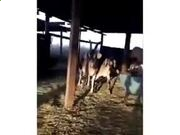 云开体育app官方下载2025版更新内容实机截图