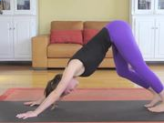 Microsoft SQL Server 2008