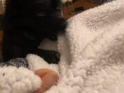 高清mp4格式转换器