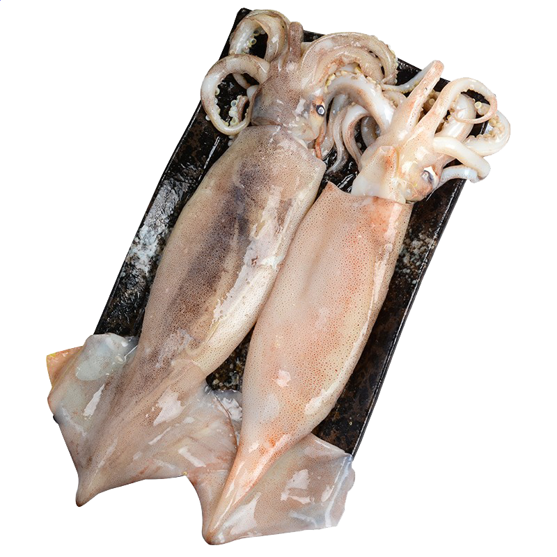 Bsports登录入口安卓版二维码