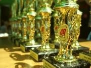 金沙乐娱场登录V5.6专业版