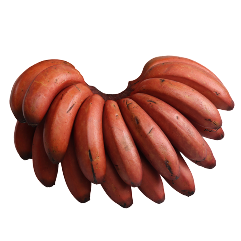 dhy大红鹰app2025版角色自定义与工坊界面