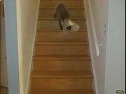 开云在线网页版观看2025版多人同屏竞速画面