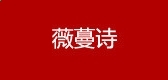 口袋天龙的堕落
