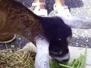 kaiyun网页登录入口V9.2专业版