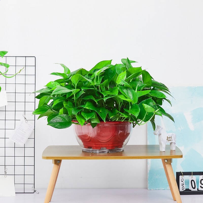 kaiyun.cn登录入口登录app下载安装