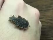 开云kaiyunapp最新版本下载