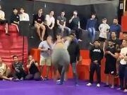 米乐m6旧版V1.1专业版