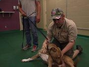 Screeps 2025版社区模块市场与代码库