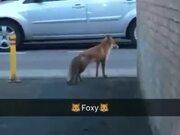 bb平台体育appV2.9专业版